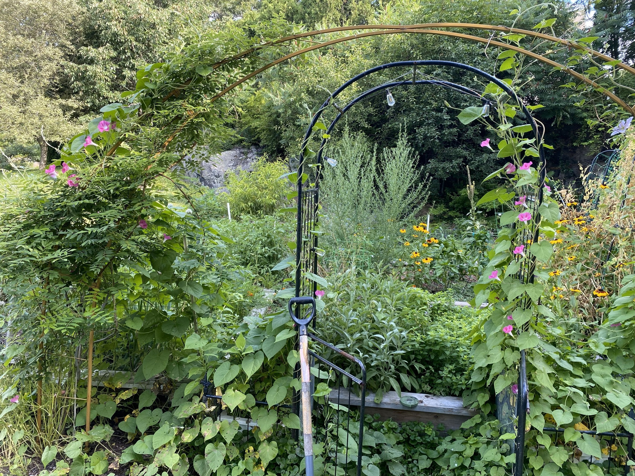 Built on the belief that nature holds all answers