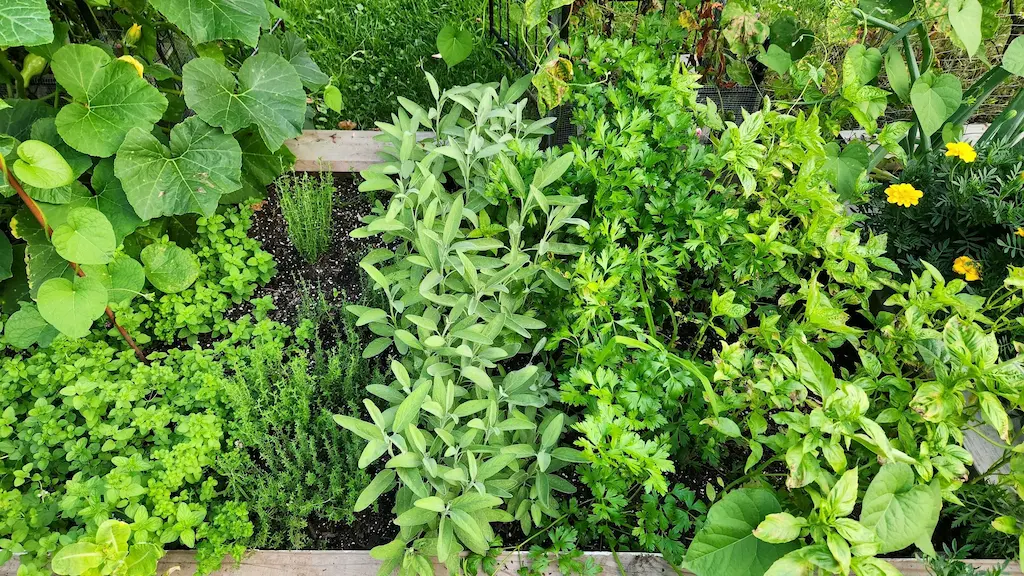 Organic ingredients